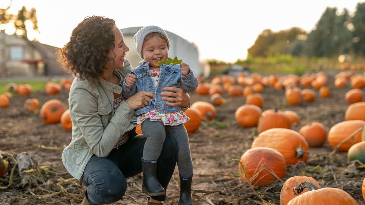 andelin family farm mobile out of home advertising reno
